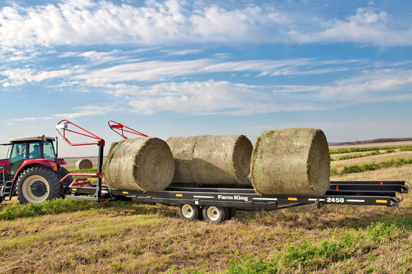 Farm King | Hay Tools | Round Bale Carrier for sale at Red Power Team, Iowa