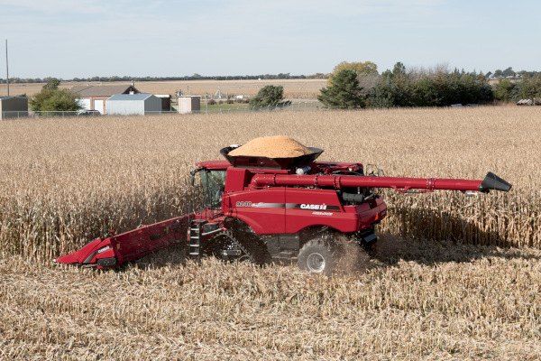 Case IH | Corn Heads | Model 4416N Corn Head for sale at Red Power Team, Iowa