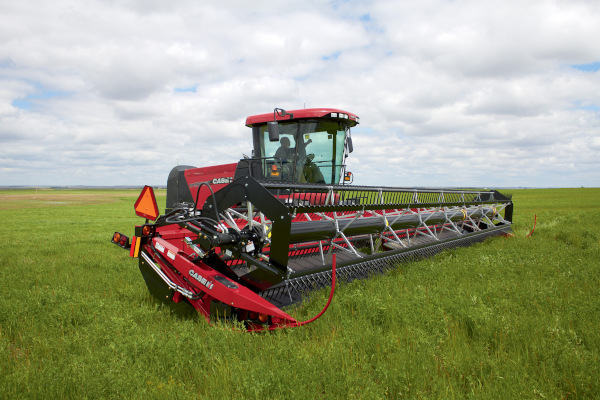 Case IH | Draper Headers | Model DH253 for sale at Red Power Team, Iowa