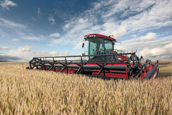 Case IH | Draper Headers | Model DH303 for sale at Red Power Team, Iowa