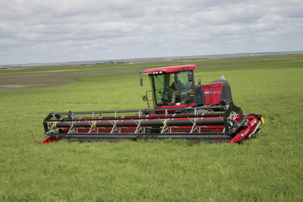 Case IH | Draper Headers | Model DH362 for sale at Red Power Team, Iowa