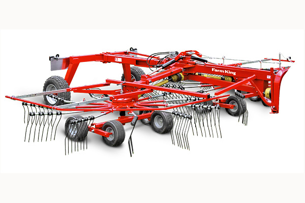 Farm King | Hay Tools | Double Rotary Rake for sale at Red Power Team, Iowa