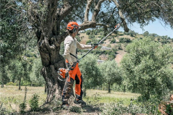 Husqvarna | Saws and Tree Care | Pole Saws for sale at Red Power Team, Iowa