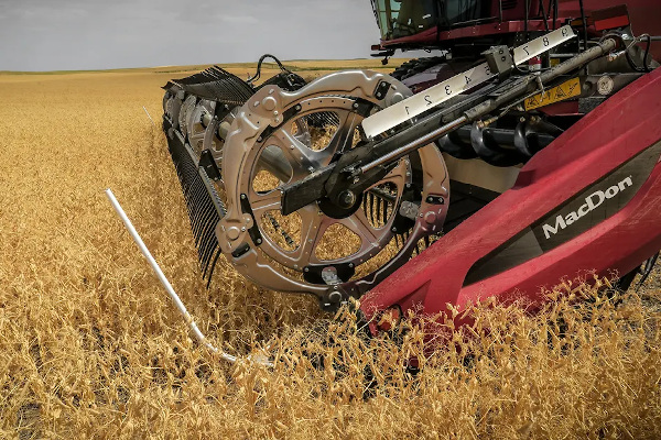 MacDon | FD2 Series FlexDraper® | Model FD2 35' for sale at Red Power Team, Iowa