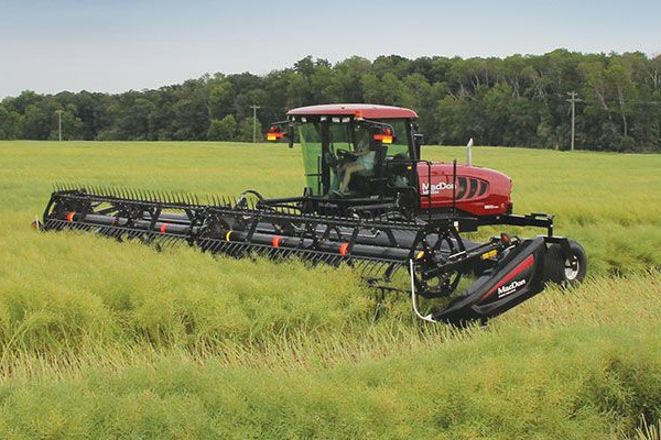 MacDon M155 E4 SP Windrower for sale at Red Power Team, Iowa