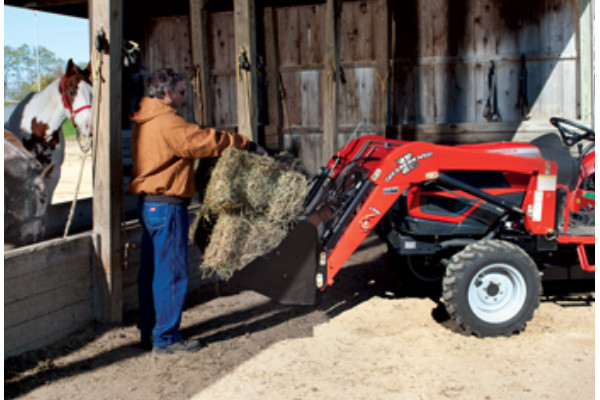 Woods | LS | Model LS96 for sale at Red Power Team, Iowa