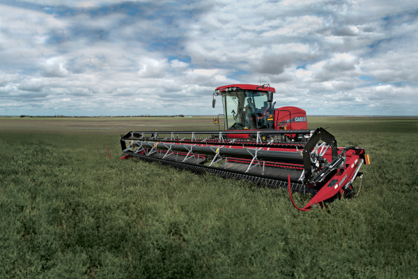 Case IH | Draper Headers | Model DH403 for sale at Red Power Team, Iowa